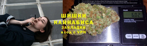 прущие грибы Корсаков