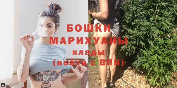 прущие грибы Корсаков