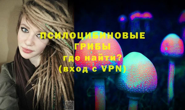 a pvp Кодинск
